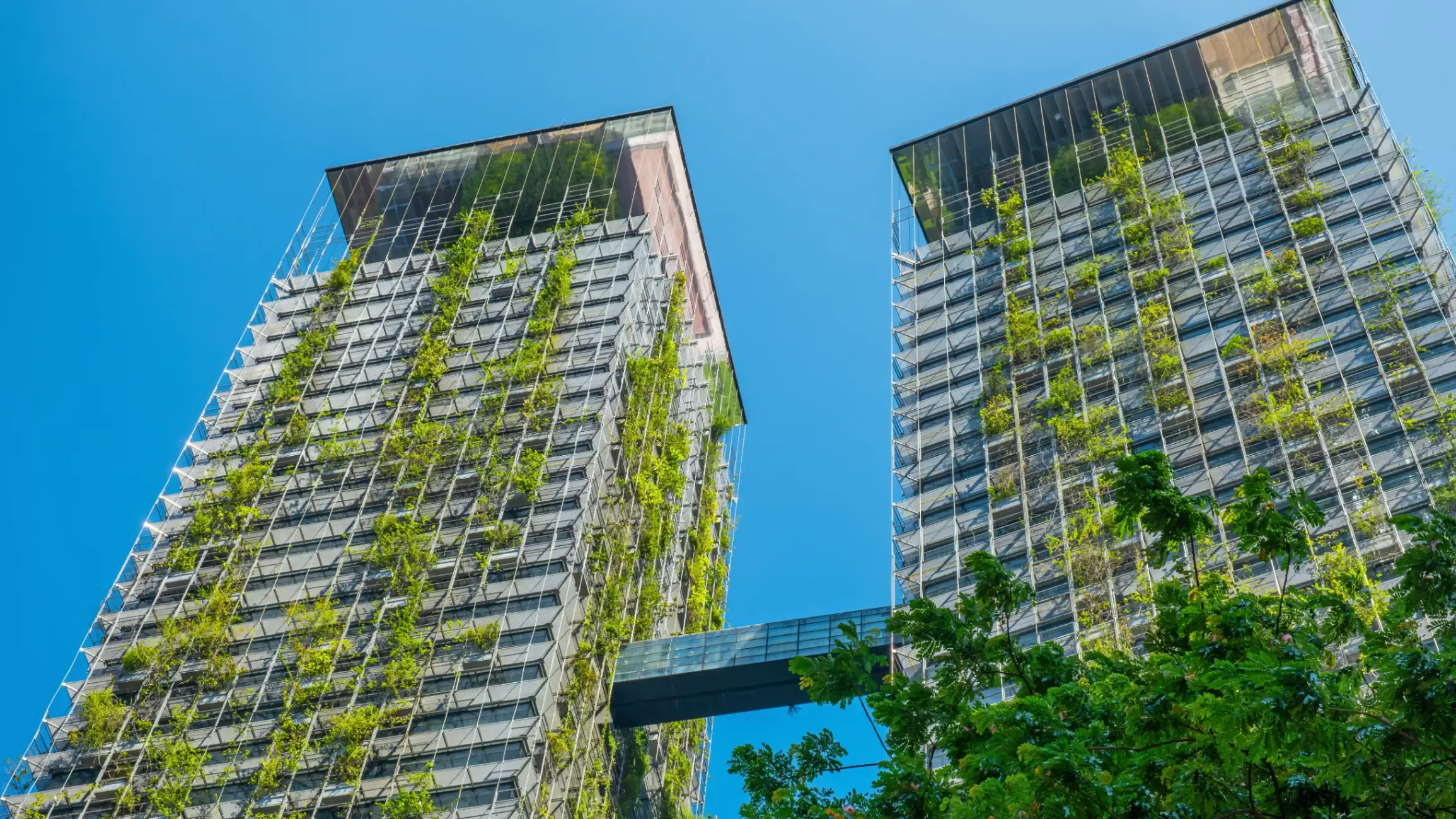 Modern high-rise building featuring vertical greenery