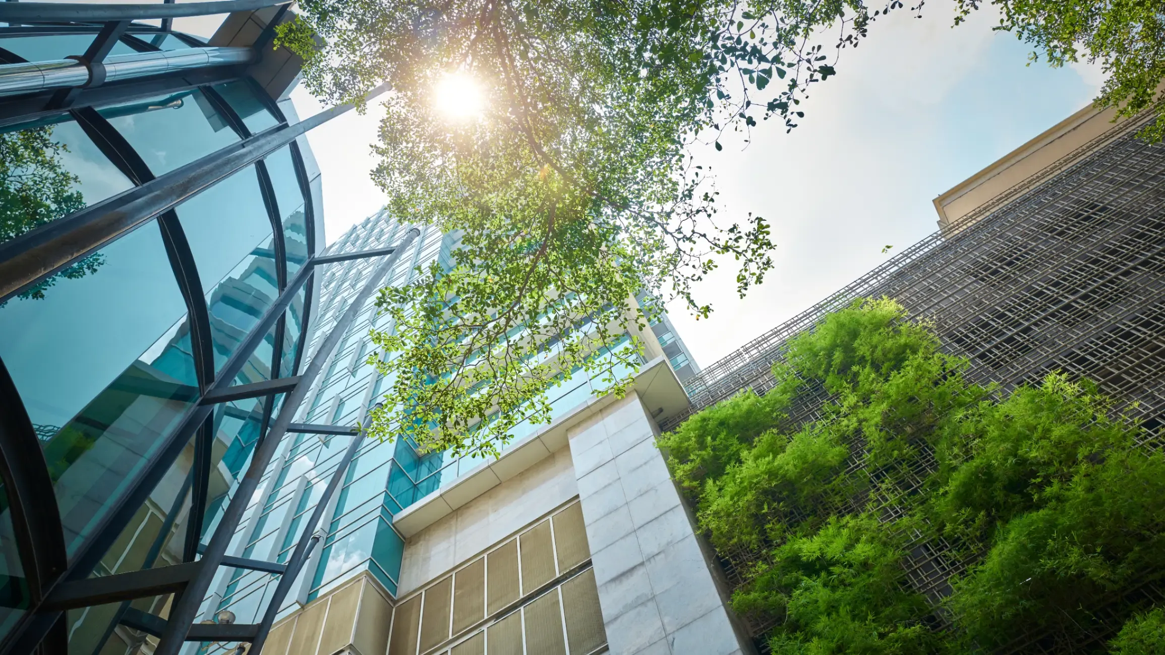 sunlight peering over modern urban buildings