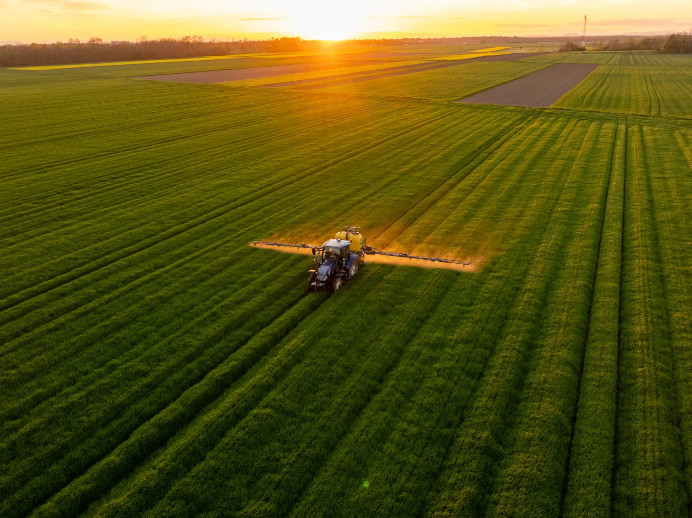 Tractor spraying a field at sunset, working across agricultural land under warm evening light. 