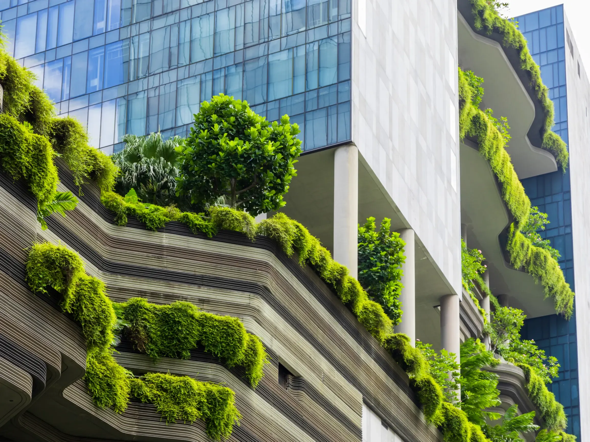 Vertical garden integrated into a sustainable green building, combining modern architecture with natural planting. 